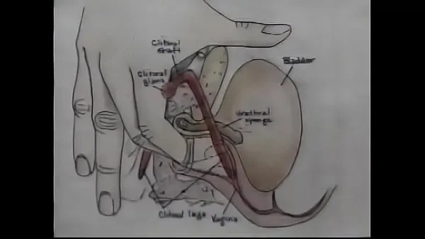 Nuovo Video di formazione sull'orgasmo di educazione sessualetubo di clip