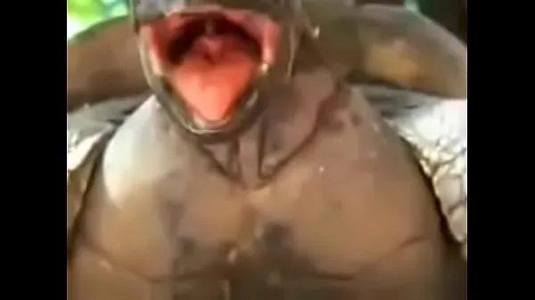 Ferske Turtle fucking up to stalk klipp Tube